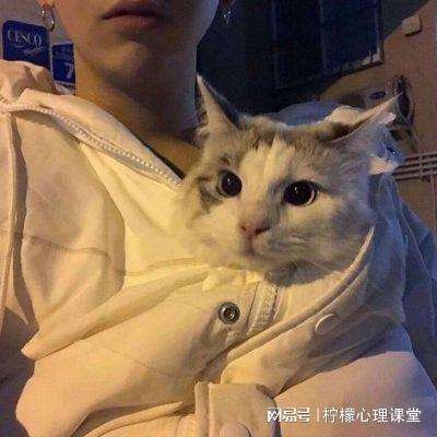 细胞进化论游戏下载